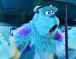 Sully Shocked